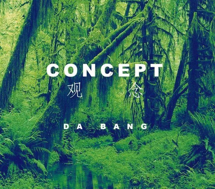 探秘社会美是指什么?蜗牛问答,解答你的疑惑!