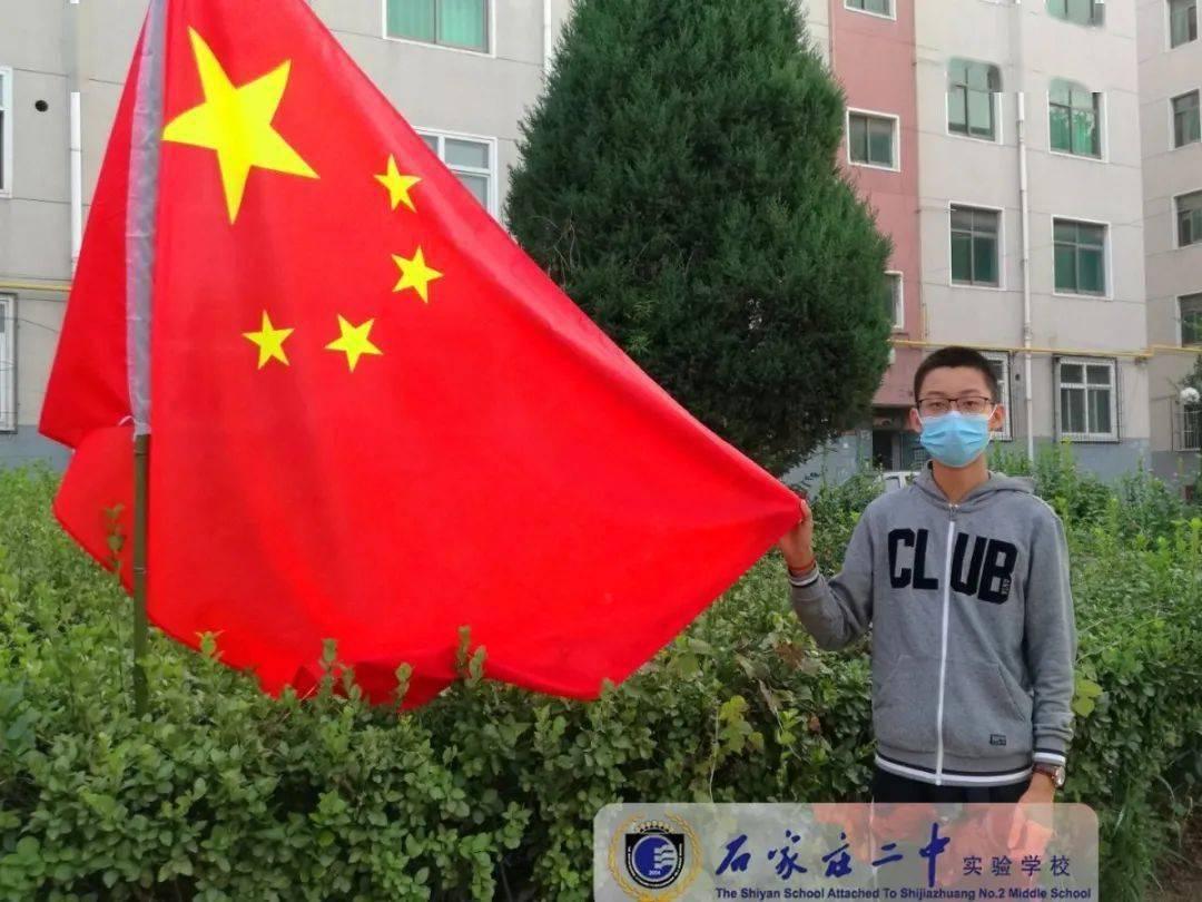 可爱小猫向上跳