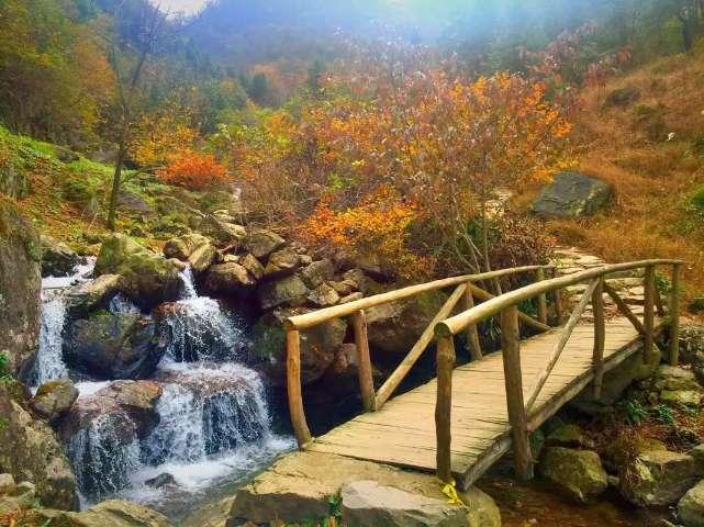 今日关注|北京和平医院闫会宁主任讲述:若出现这些现象,要当心宫颈癌