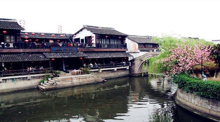 奥利维亚药店