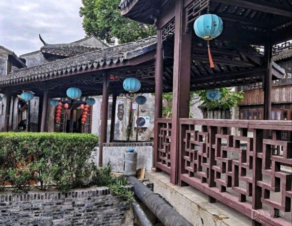 救援小袋熊